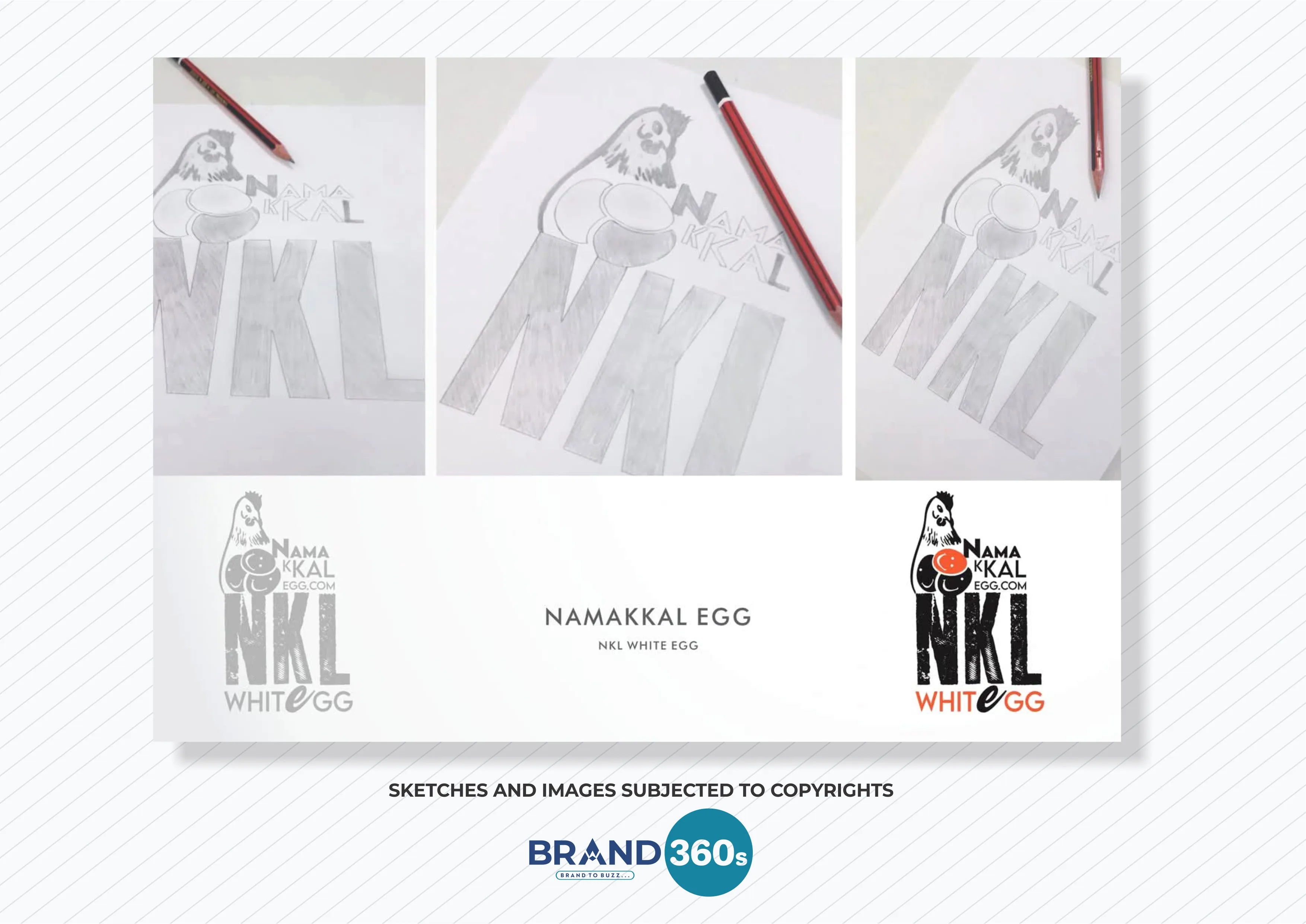 Logo design concept and final logo for Namakkal Egg by Brand 360s